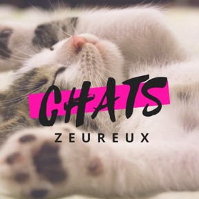 chats-zeureux.ch